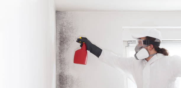 Best Mold Testing and Inspection Services in Fremont, NC